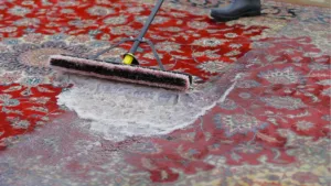 How to Clean Persian Carpets and Rugs
